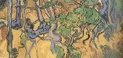 Vincent Van Gogh Tree Root and Trunks (nn04) painting
